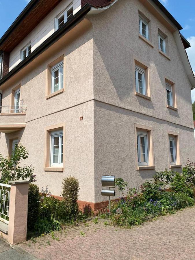 Ferienwohnung Diana Und Manuel فينهايم المظهر الخارجي الصورة